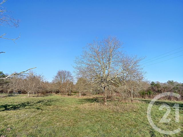 Terrain à vendre - 108852 m2 - Villefranche Sur Cher - 41 - CENTRE