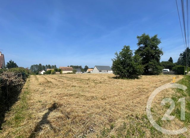 Terrain à vendre - 3951 m2 - Villefranche Sur Cher - 41 - CENTRE