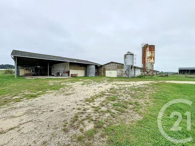 Terrain à vendre - 37628 m2 - Chatillon Sur Cher - 41 - CENTRE