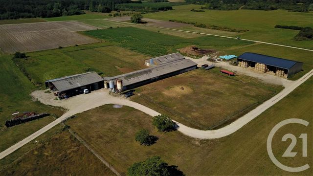 Terrain à vendre - 37628 m2 - Chatillon Sur Cher - 41 - CENTRE