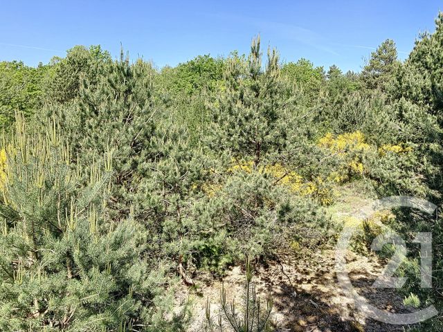 Terrain à vendre - 474003 m2 - Nouan Le Fuzelier - 41 - CENTRE