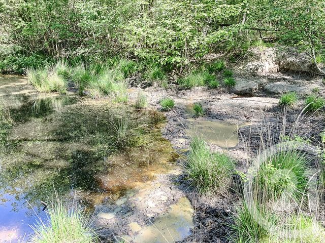 Terrain à vendre - 474003 m2 - Nouan Le Fuzelier - 41 - CENTRE