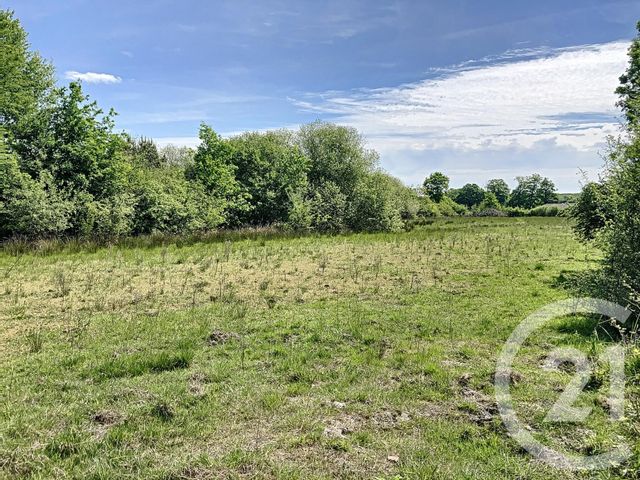 Terrain à vendre - 474003 m2 - Nouan Le Fuzelier - 41 - CENTRE