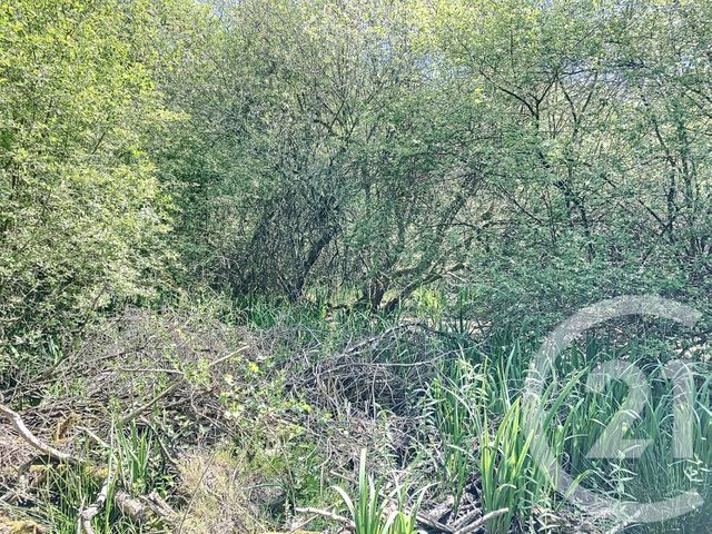 Terrain à vendre - 474003 m2 - Nouan Le Fuzelier - 41 - CENTRE