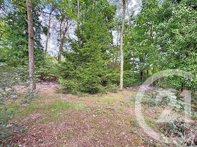 Maison à vendre - 6 pièces - 181,48 m2 - Villefranche Sur Cher - 41 - CENTRE