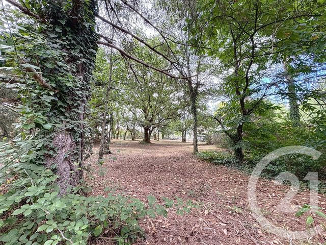 Terrain à vendre - 3280 m2 - Villefranche Sur Cher - 41 - CENTRE