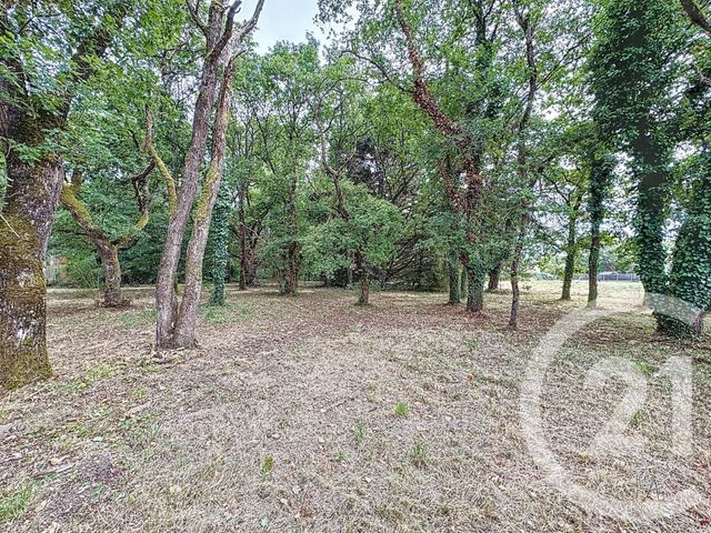 Terrain à vendre - 3280 m2 - Villefranche Sur Cher - 41 - CENTRE