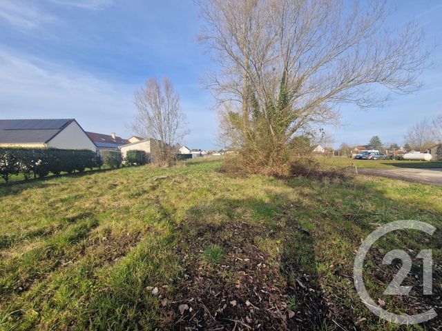 Terrain à vendre - 1500 m2 - Pruniers En Sologne - 41 - CENTRE