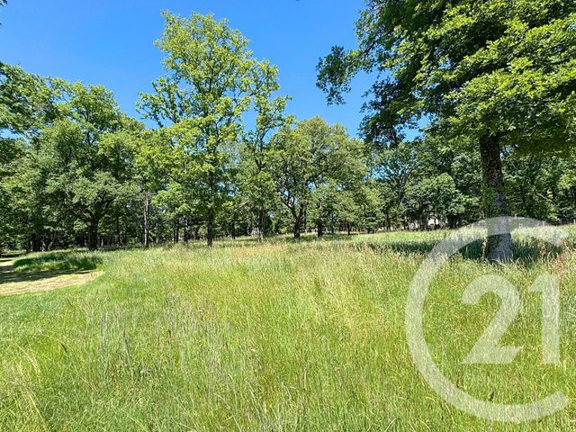 Terrain à vendre - 11762 m2 - Villefranche Sur Cher - 41 - CENTRE