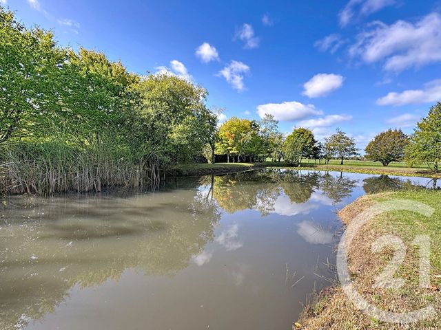 Maison à vendre - 7 pièces - 234,92 m2 - 41 - CENTRE