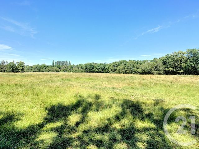 Maison à vendre - 7 pièces - 214 m2 - Neuvy Sur Barangeon - 18 - CENTRE