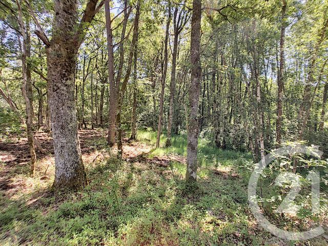 Maison à vendre - 7 pièces - 214 m2 - Neuvy Sur Barangeon - 18 - CENTRE