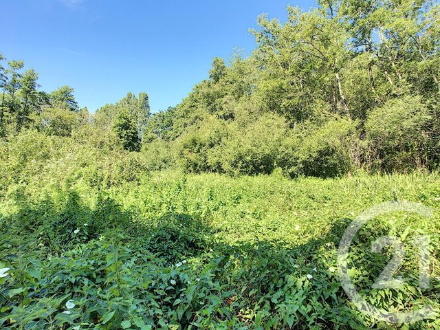 Maison à vendre - 7 pièces - 214 m2 - Neuvy Sur Barangeon - 18 - CENTRE