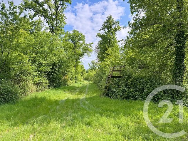 Maison à vendre - 15 pièces - 235 m2 - 41 - CENTRE