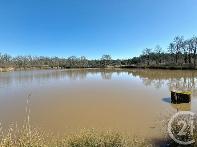 Terrain à vendre VEILLEINS