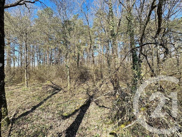 Terrain à vendre - 25600 m2 - Veilleins - 41 - CENTRE