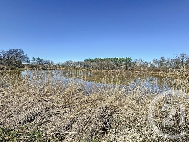 Terrain à vendre - 25600 m2 - Veilleins - 41 - CENTRE