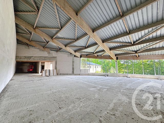 Maison à vendre - 120 pièces - 10991 m2 - Vouzon - 41 - CENTRE