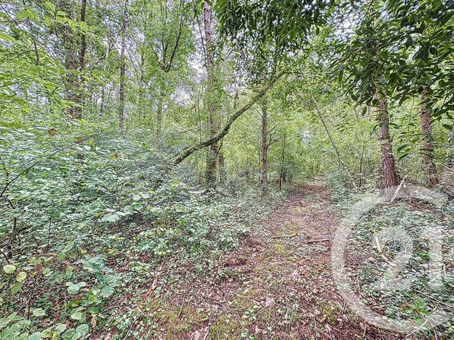 Maison à vendre - 14 pièces - 344 m2 - Souesmes - 41 - CENTRE