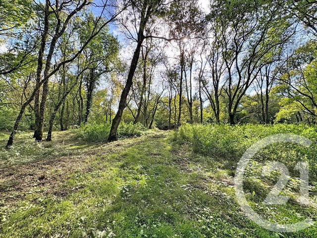 Maison à vendre - 8 pièces - 219,44 m2 - La Ferte Imbault - 41 - CENTRE