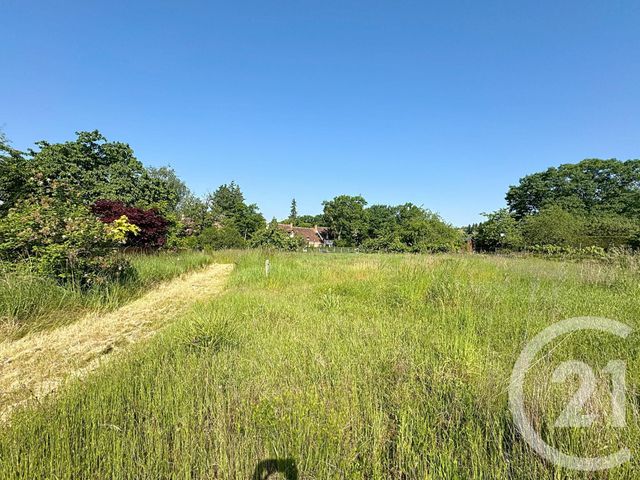 Maison à vendre - 5 pièces - 175 m2 - Chaumont Sur Tharonne - 41 - CENTRE