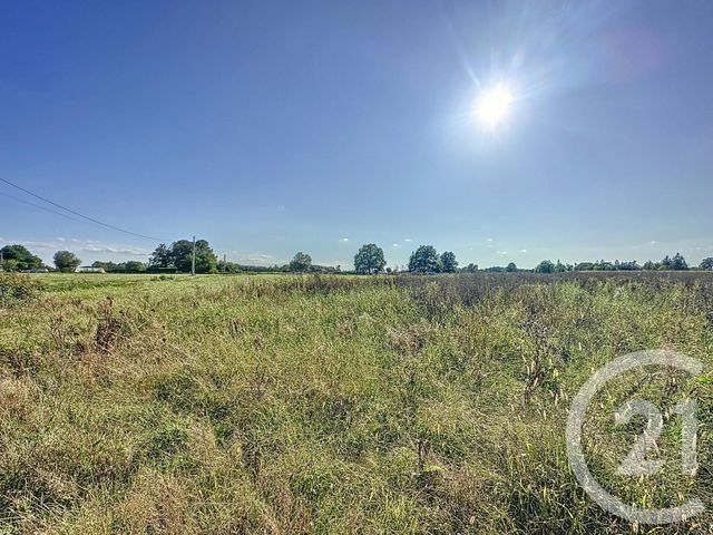 Terrain à vendre - 18178 m2 - Montrieux En Sologne - 41 - CENTRE