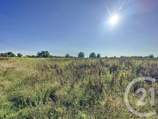 Terrain à vendre - 18178 m2 - Montrieux En Sologne - 41 - CENTRE
