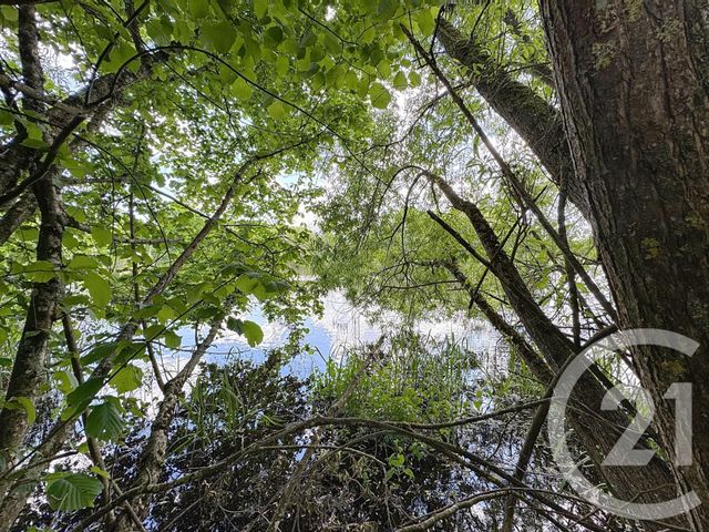 Maison à vendre - 3 pièces - 67 m2 - St Viatre - 41 - CENTRE