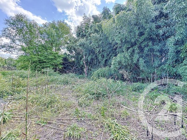 Maison à vendre - 3 pièces - 67 m2 - St Viatre - 41 - CENTRE