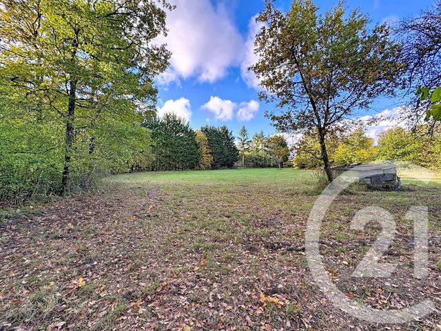 Maison à vendre - 10 pièces - 251,50 m2 - Nouan Le Fuzelier - 41 - CENTRE