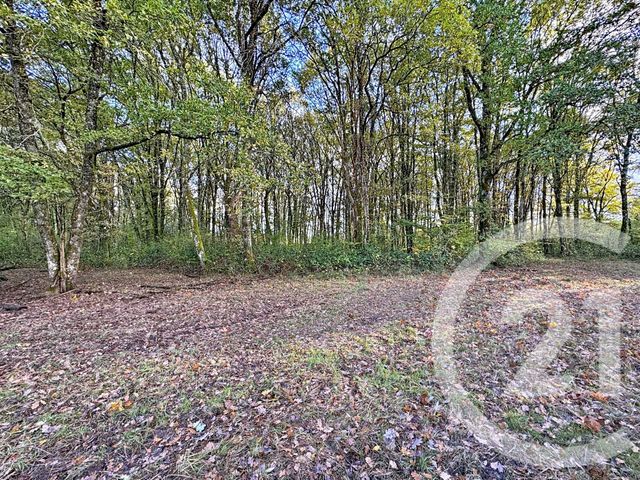 Maison à vendre - 10 pièces - 251,50 m2 - Nouan Le Fuzelier - 41 - CENTRE