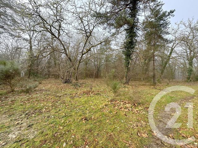 Maison à vendre - 4 pièces - 172 m2 - Vouzon - 41 - CENTRE