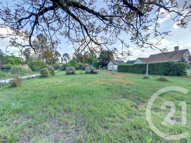 Maison à louer - 3 pièces - 94 m2 - Vannes Sur Cosson - 45 - CENTRE