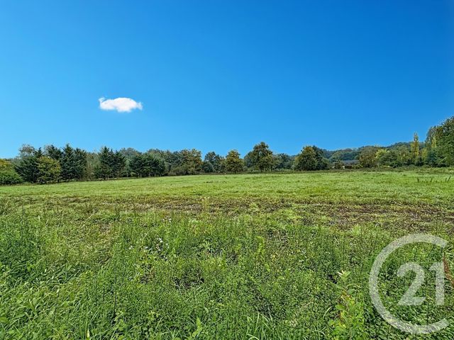 Terrain à vendre - 1668 m2 - St Viatre - 41 - CENTRE