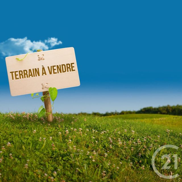 Terrain à vendre ST VIATRE