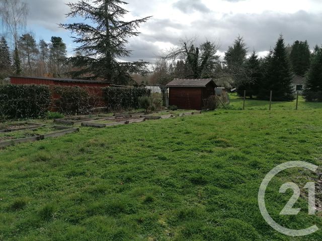 Maison à louer - 3 pièces - 93 m2 - La Ferte Beauharnais - 41 - CENTRE